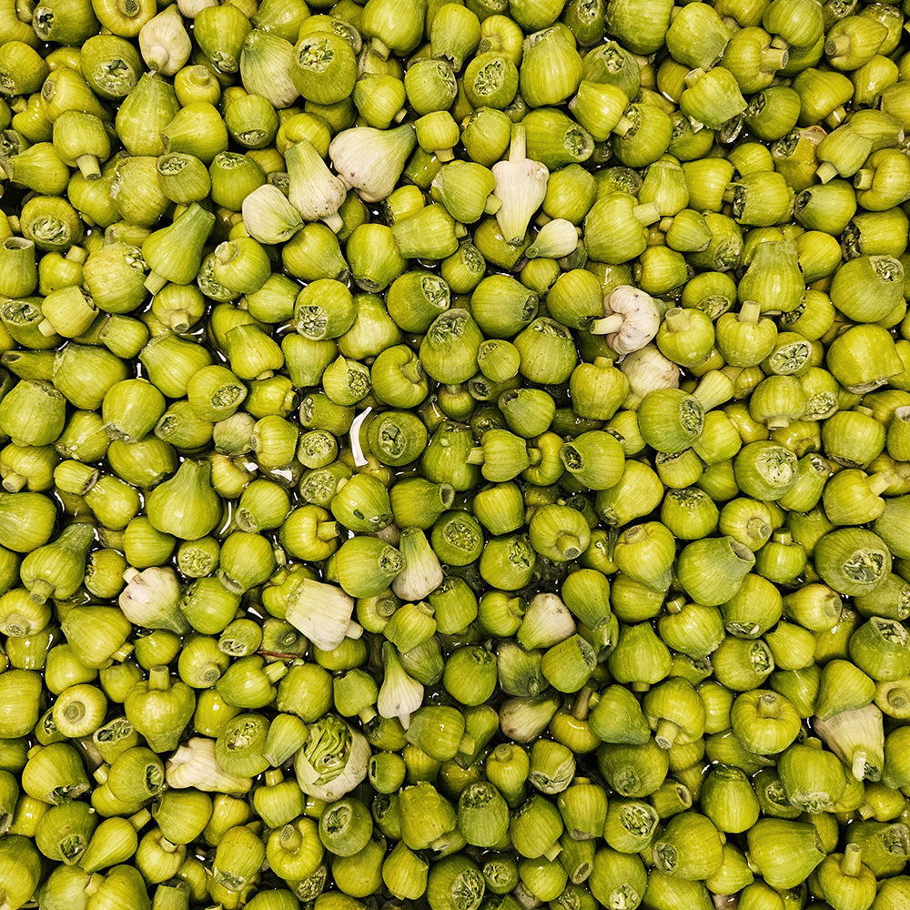Eingelegte Knoblauch Blüten