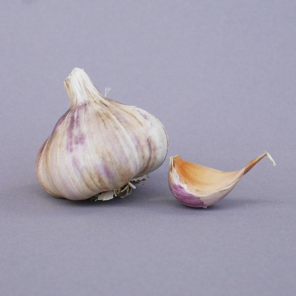 Germidour