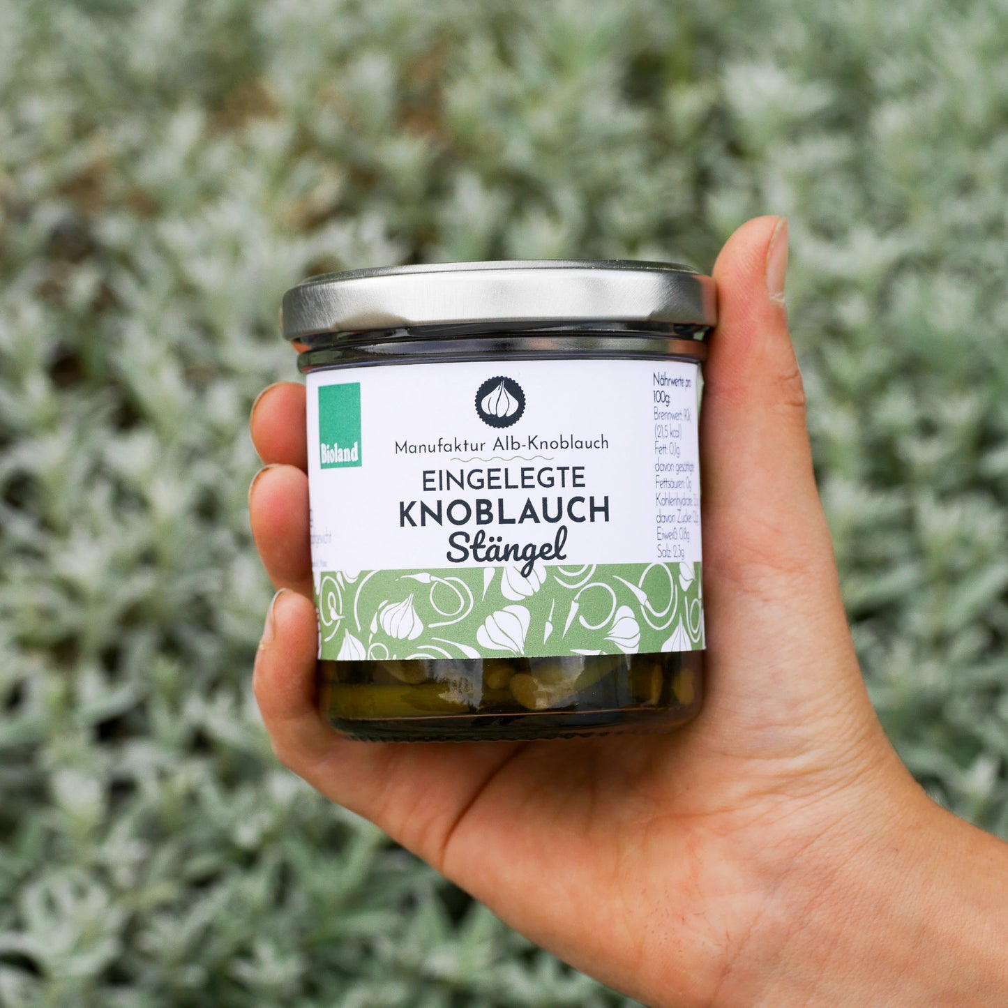 Eingelegte Knoblauch Stängel