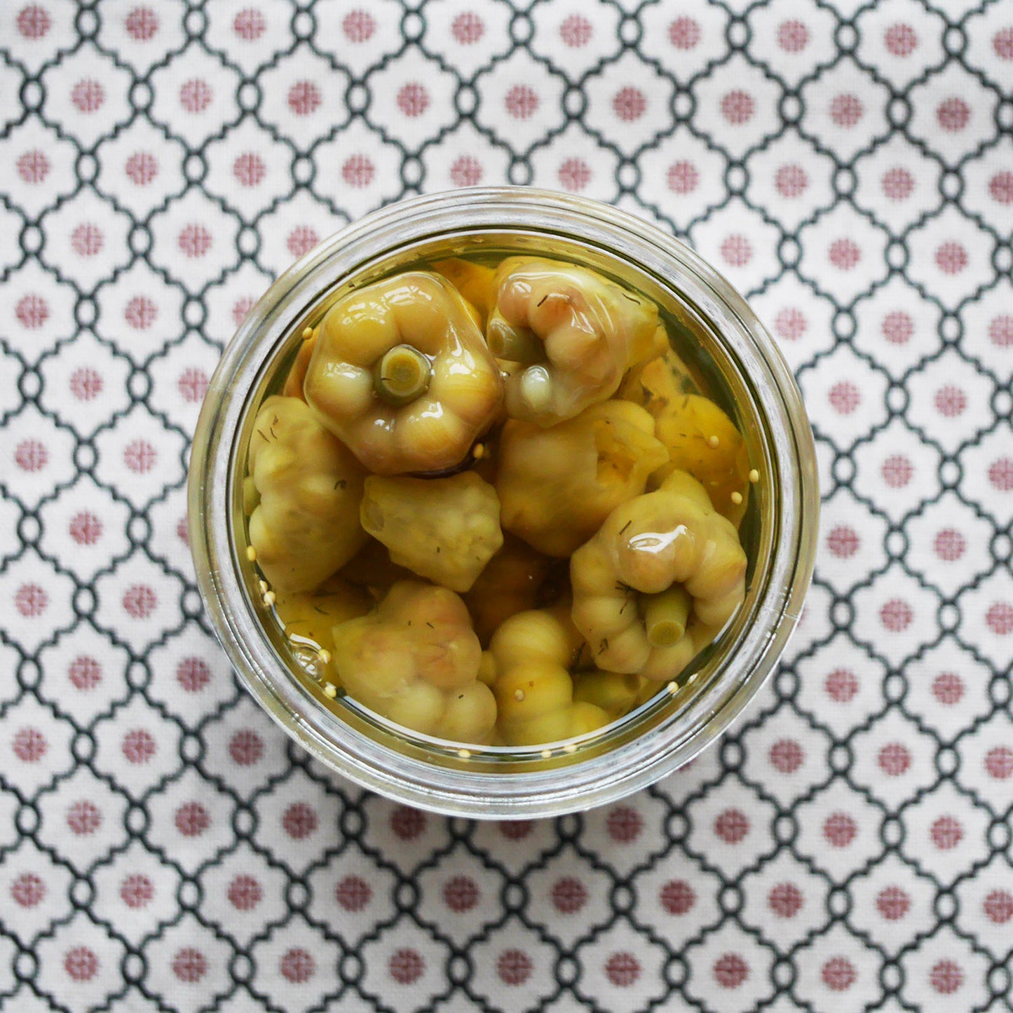 Garlic flowers in a tulip jar