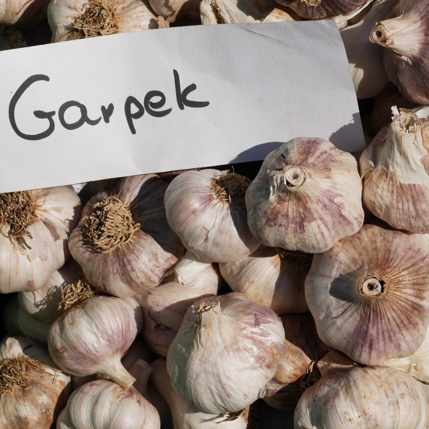 Garpek