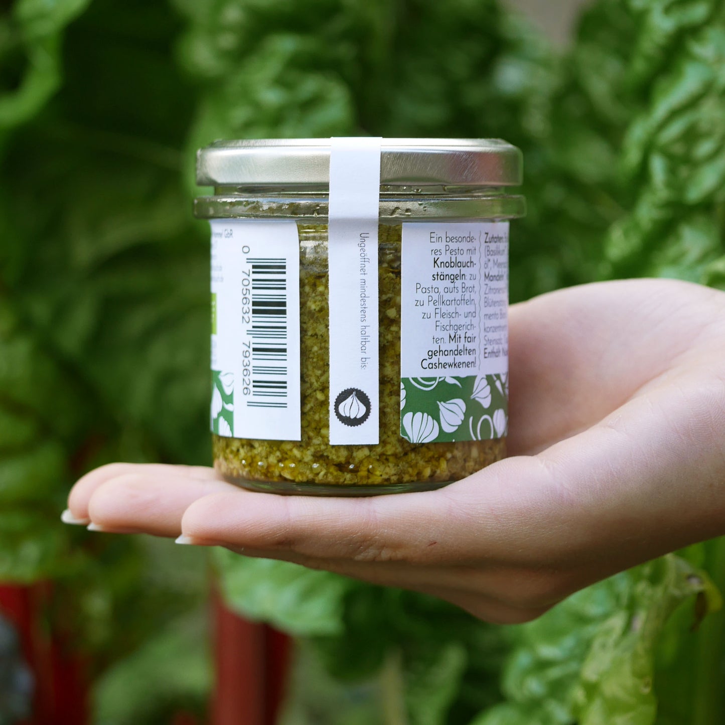 Grünes Knoblauchstängel Pesto