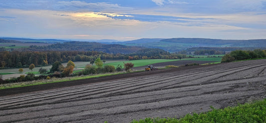 Pflanzzeit im Herbst 2024