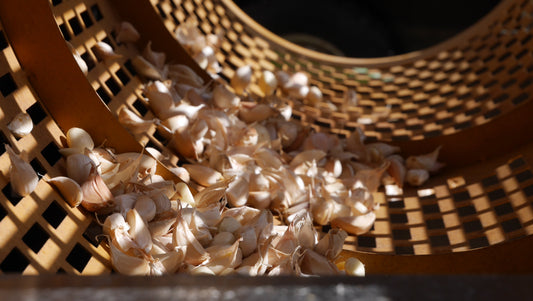 Tipps über Lagerung und Anbau