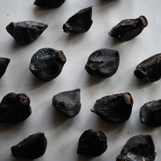 Schwarzer Elefantenknoblauch