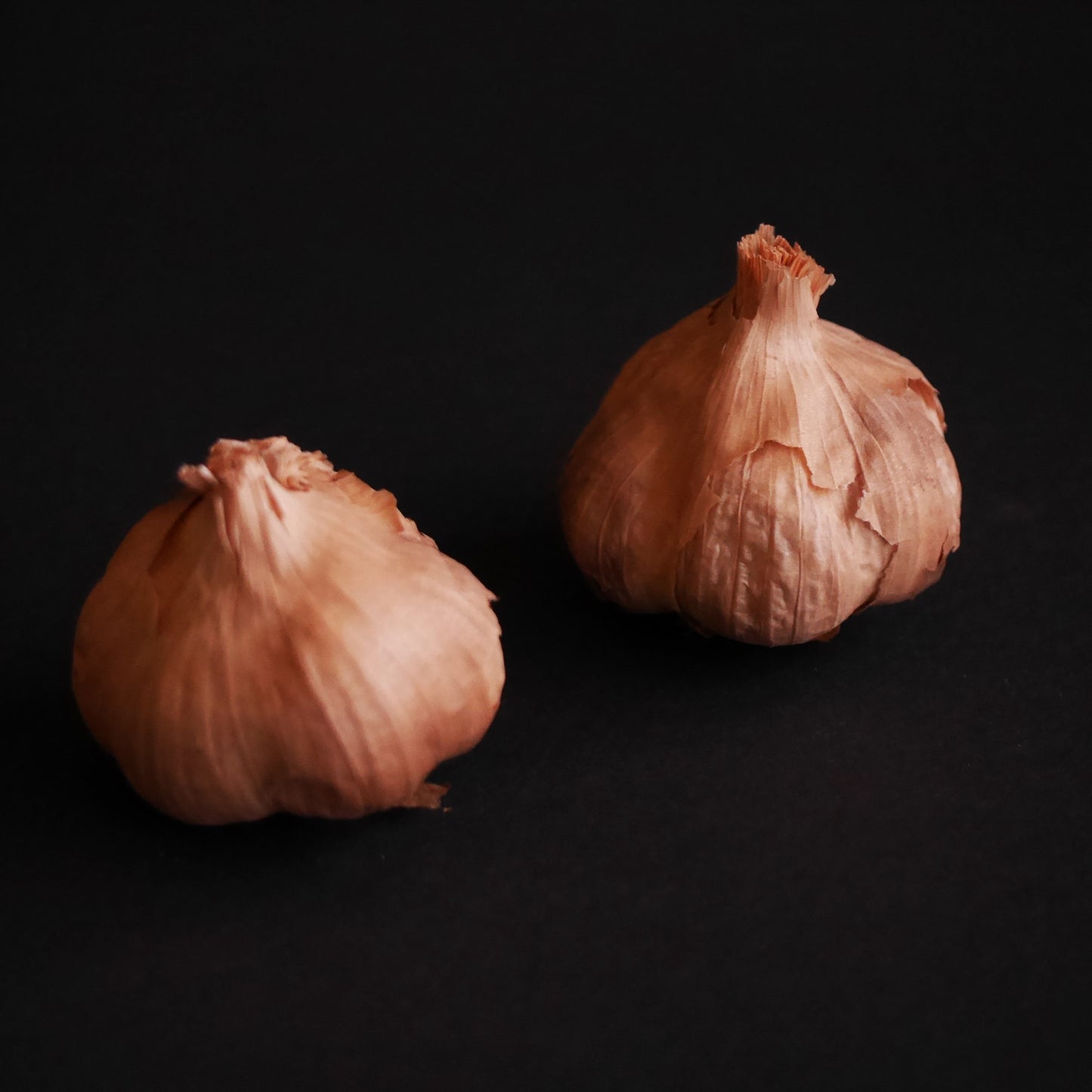 Sort hvidløg 2 hele løg