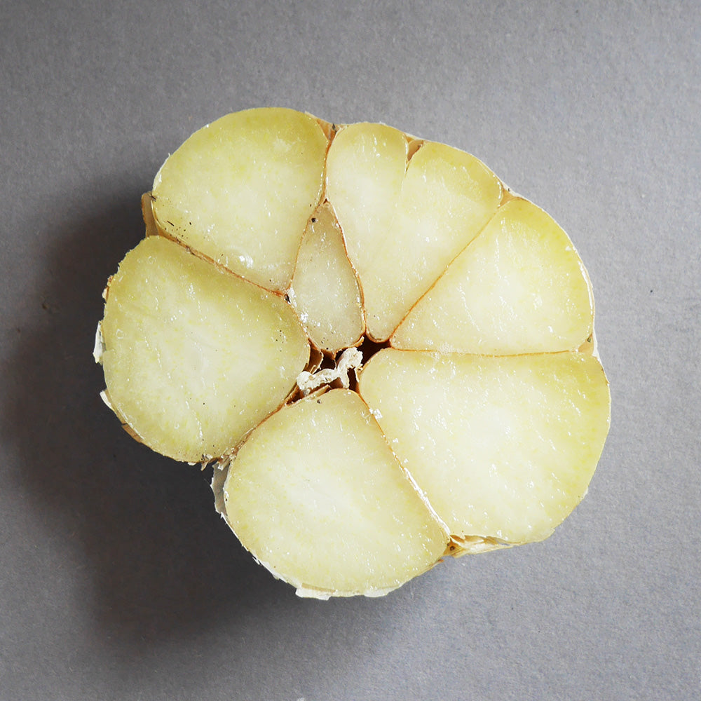 Elefantenknoblauch 250 g in der Tüte